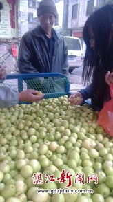 春暖果香價更親，應季鮮果正當時